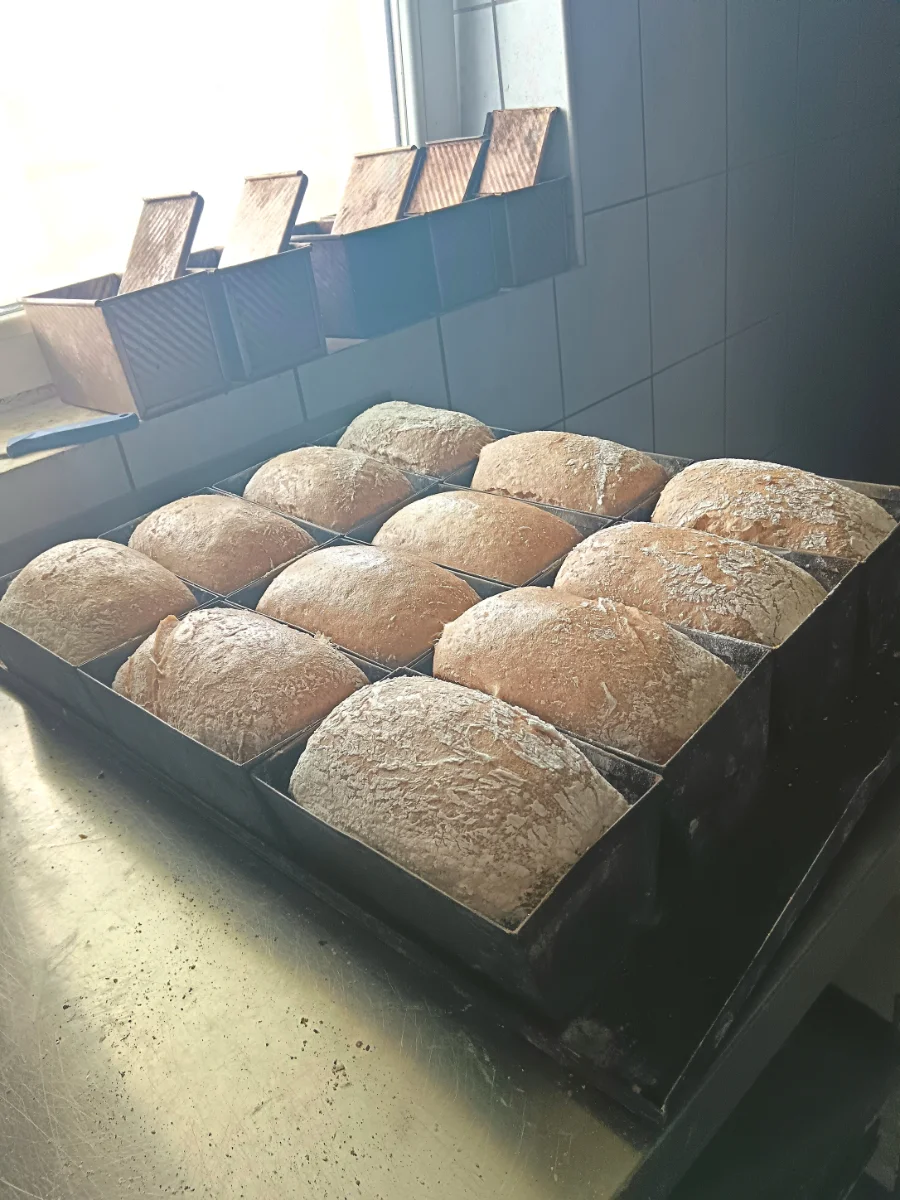 Gluténmentes kenyerek