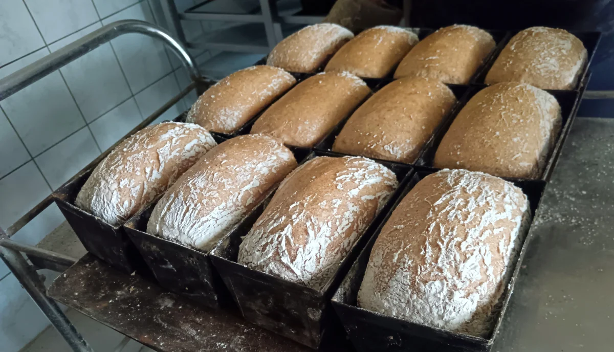 Gluténmentes kenyerek